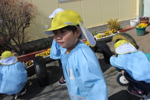 s-IMG 9913