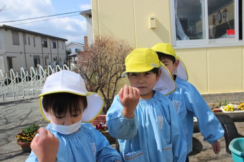 s-IMG 9926