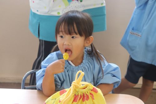 s-IMG 5655