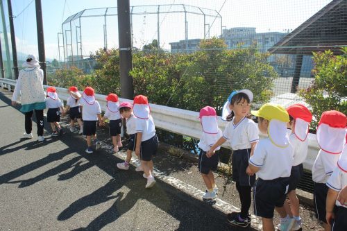 s-IMG 9259