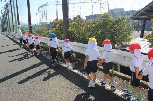s-IMG 9264