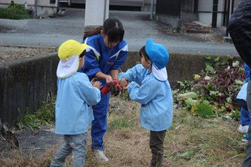 s-IMG 9800 (1)
