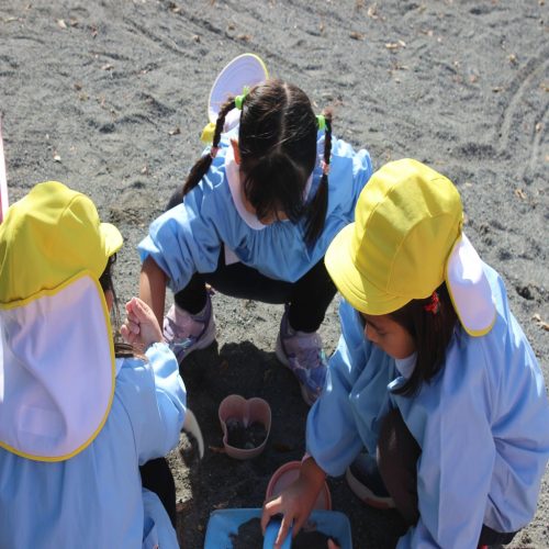 s-IMG 8866 (1)