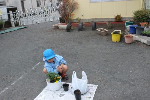 s-IMG 0113