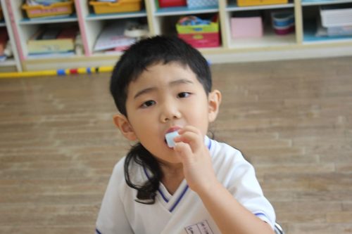 s-IMG 8348