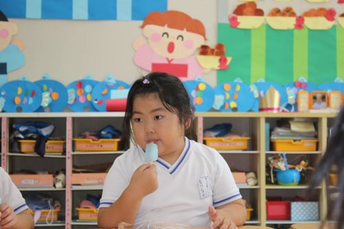 s-IMG 8388
