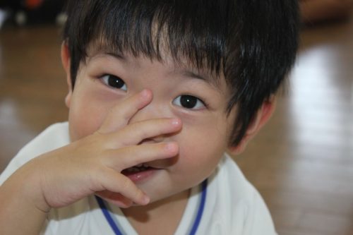s-IMG 8085