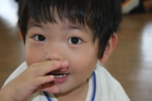 s-IMG 8086