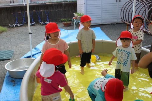 s-IMG 8986