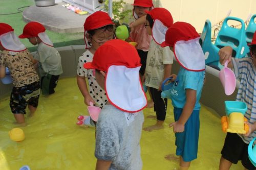 s-IMG 8998