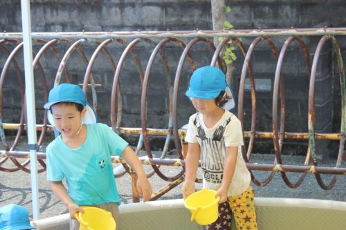 s-IMG 9058