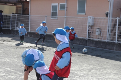 s-IMG 9245