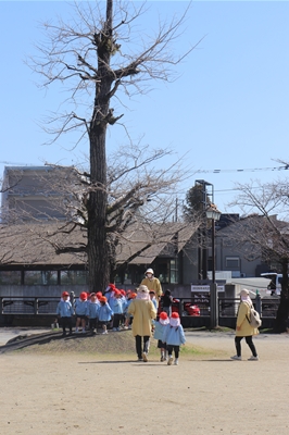 s-IMG 1497