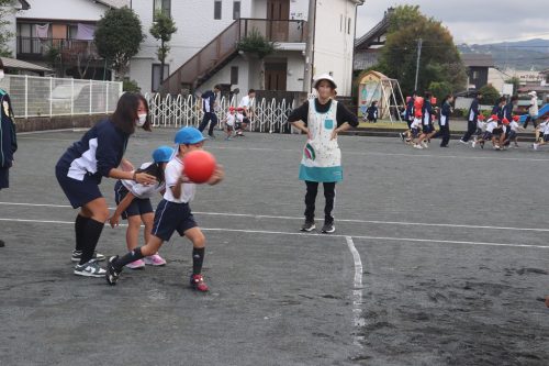s-IMG 5742