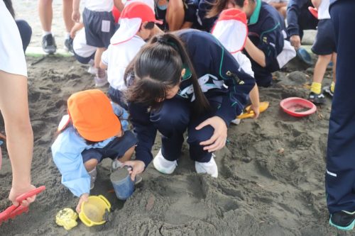 s-IMG 5752