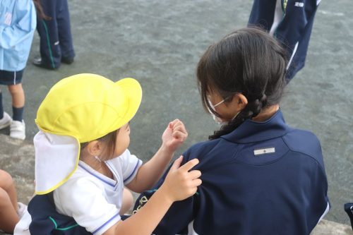 s-IMG 5762