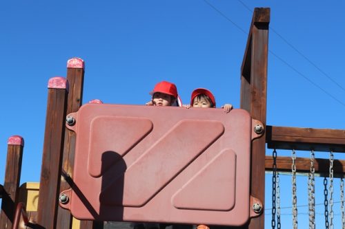 s-IMG 9050