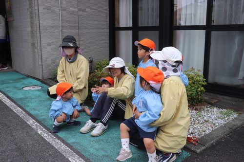 s-IMG 6636