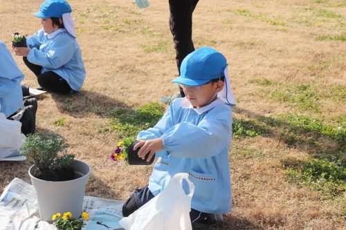 s-IMG 8197