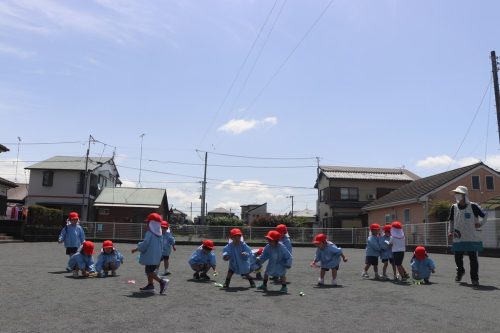 s-IMG 8568