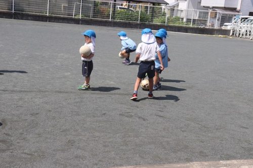 s-IMG 8582