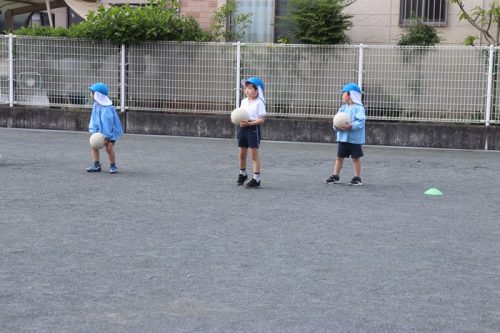 s-IMG 8587
