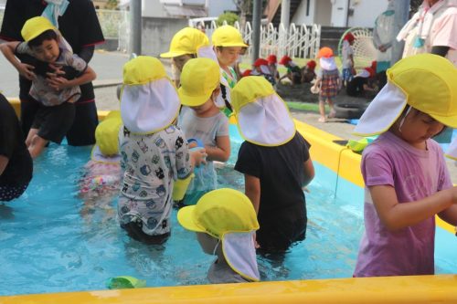 s-IMG 2826