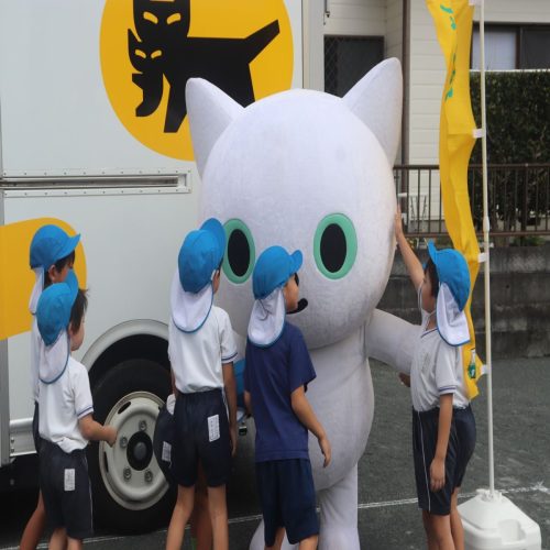 s-IMG 3385