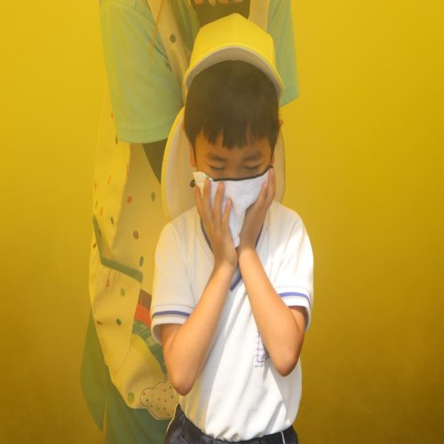 s-IMG 3535