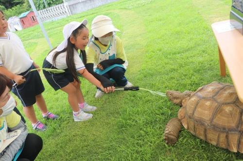 7.9 ふれあい動物園（長）